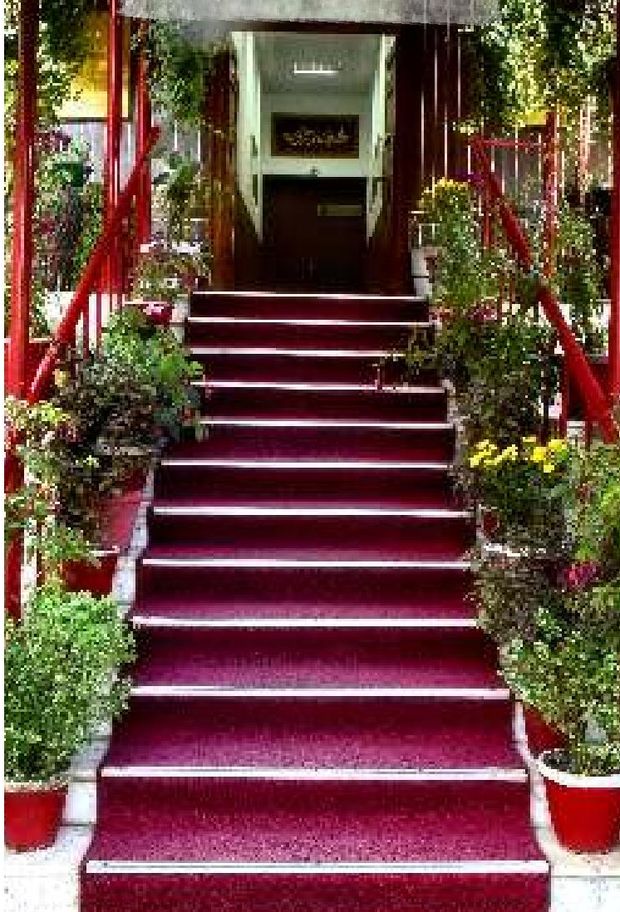 The red-carpeted stair, banked with potted flowers. — Lawrence College Ghora Gali